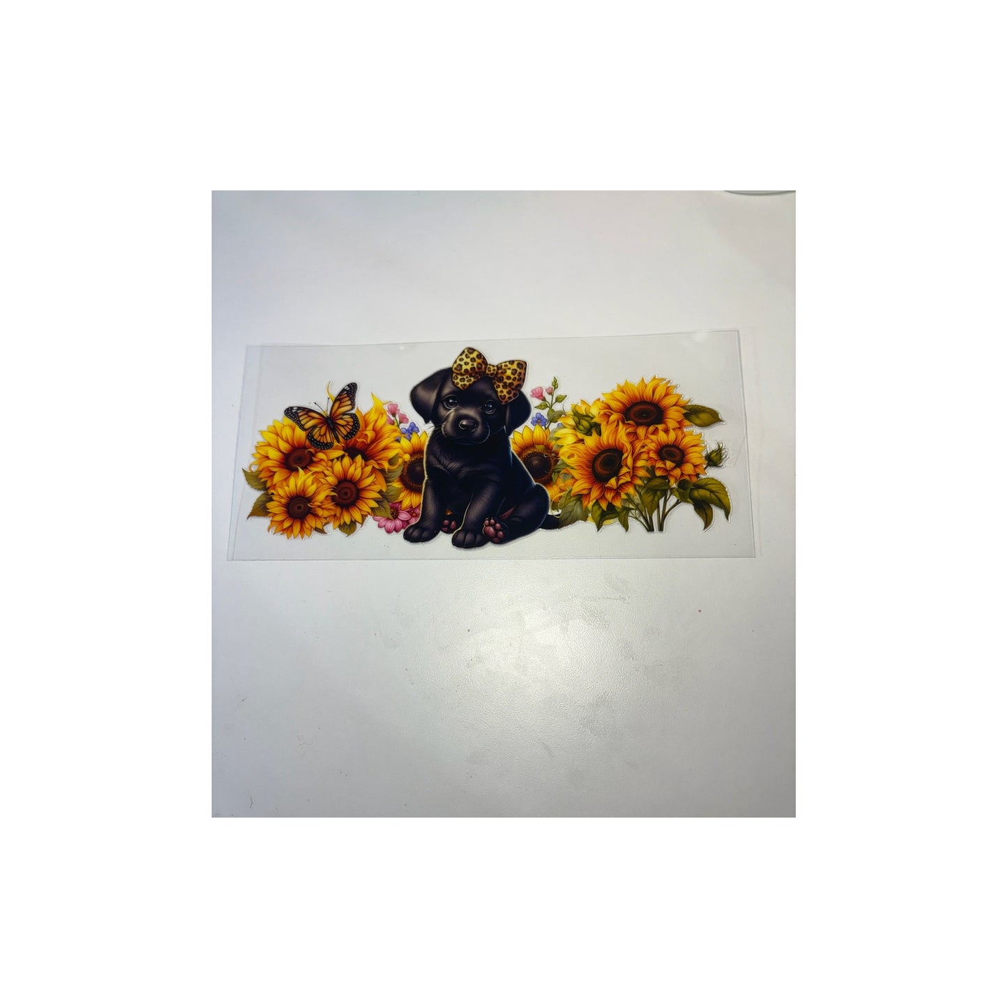 Sun Flower Puppy