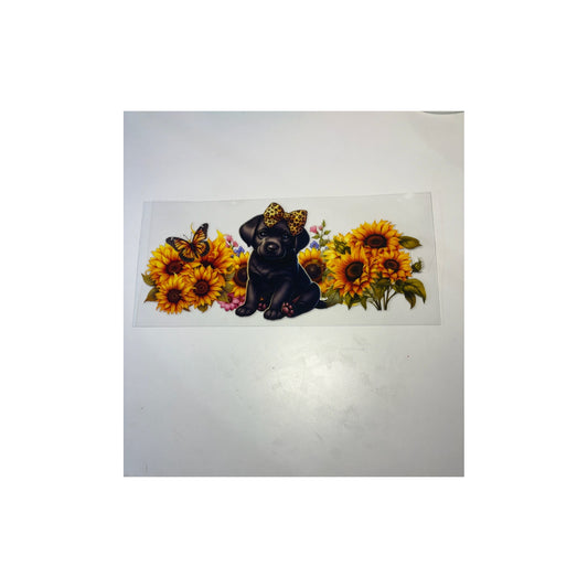 Sun Flower Puppy